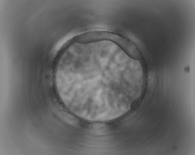 X0000113181310200910161322