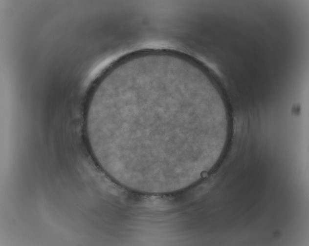 X0000113181311200910161322