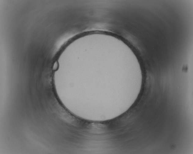 X0000113181312200910161322