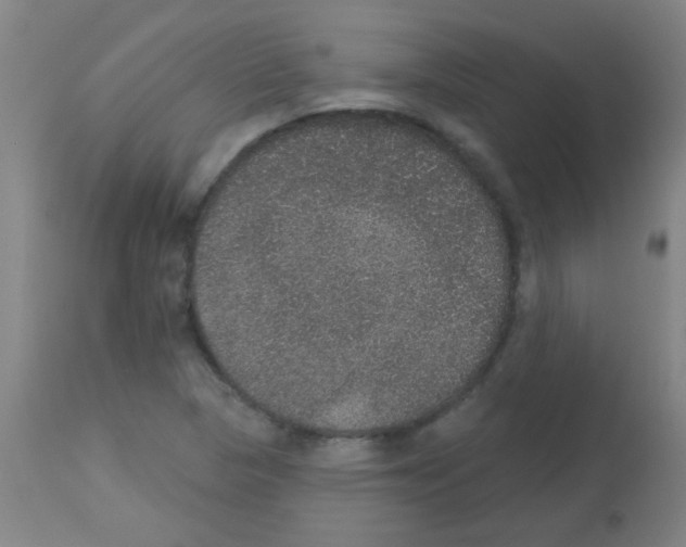X0000113181313200910161322