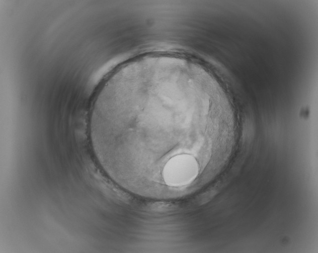 X0000113181314200910161322