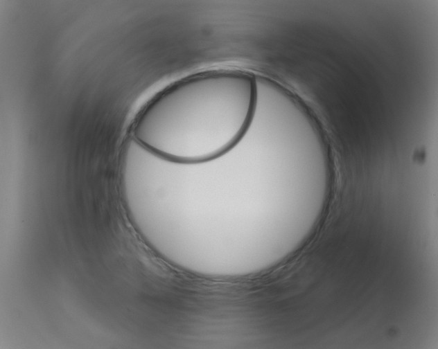 X0000113181316200910161322