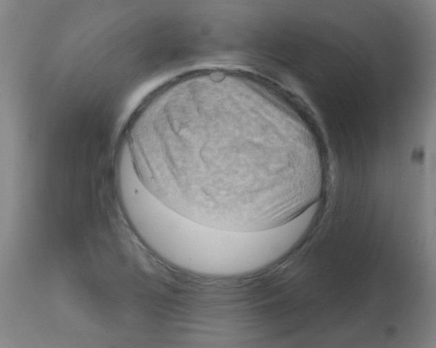 X0000113181320200910161322