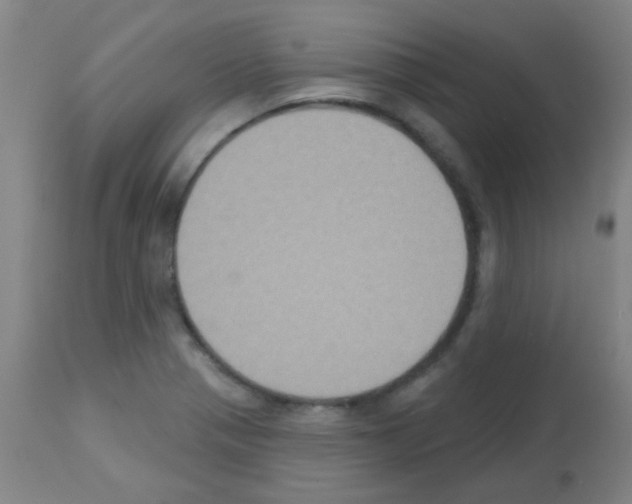X0000113181321200910161322