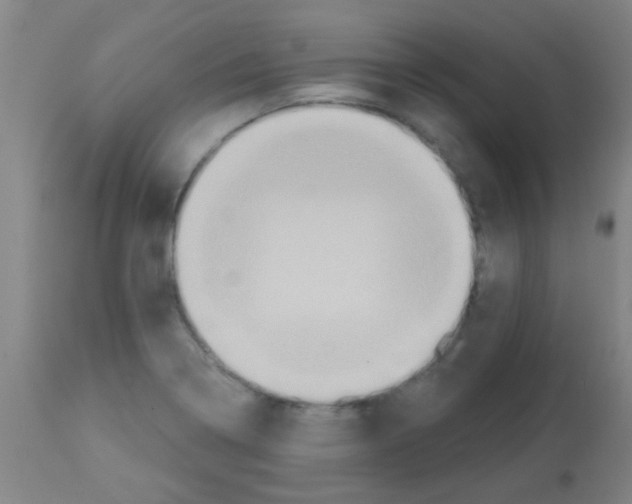 X0000113181322200910161322