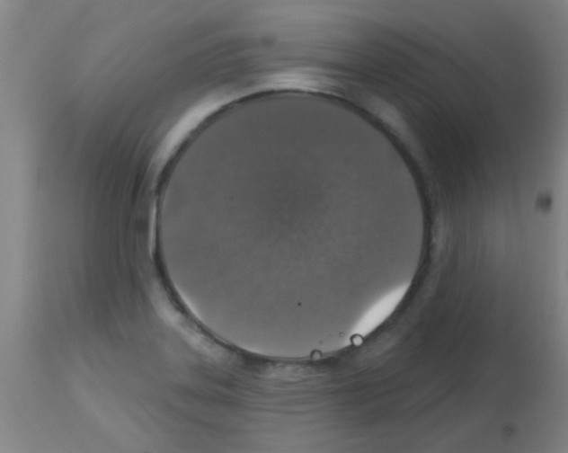 X0000113181323200910161322