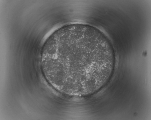 X0000113181325200910161322