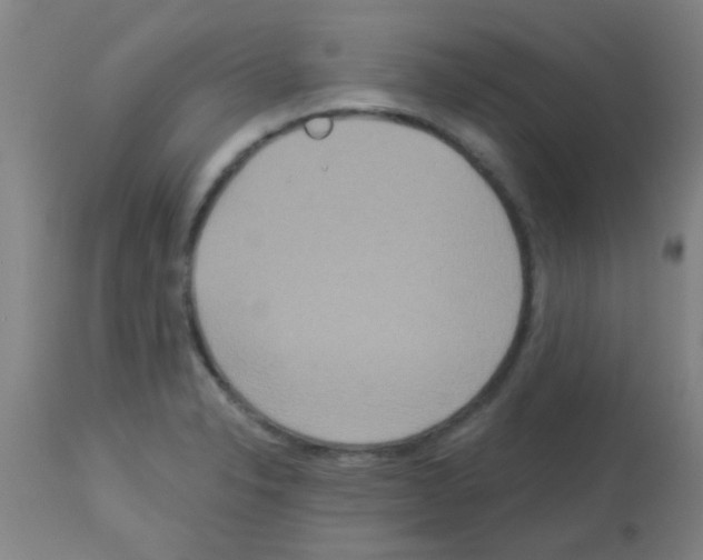 X0000113181326200910161322