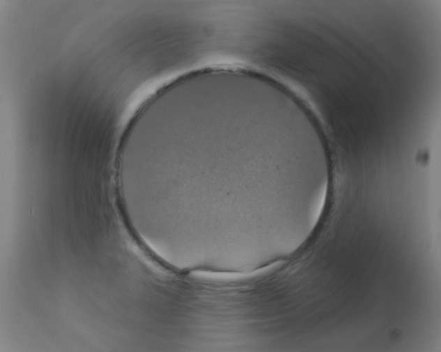 X0000113181327200910161322
