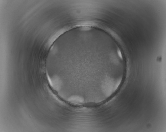 X0000113181329200910161322