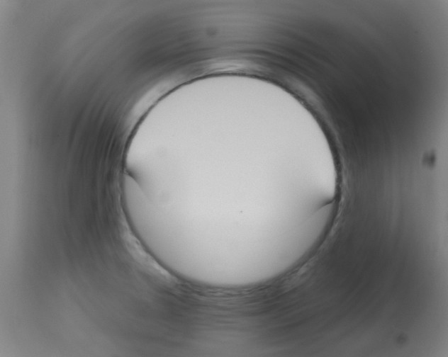 X0000113181330200910161322