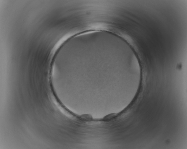 X0000113181331200910161322