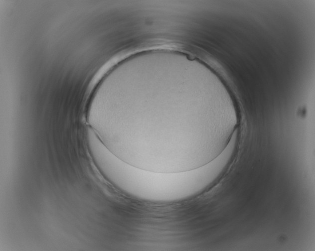 X0000113181332200910161322