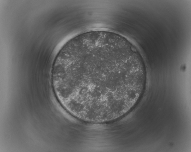 X0000113181333200910161322