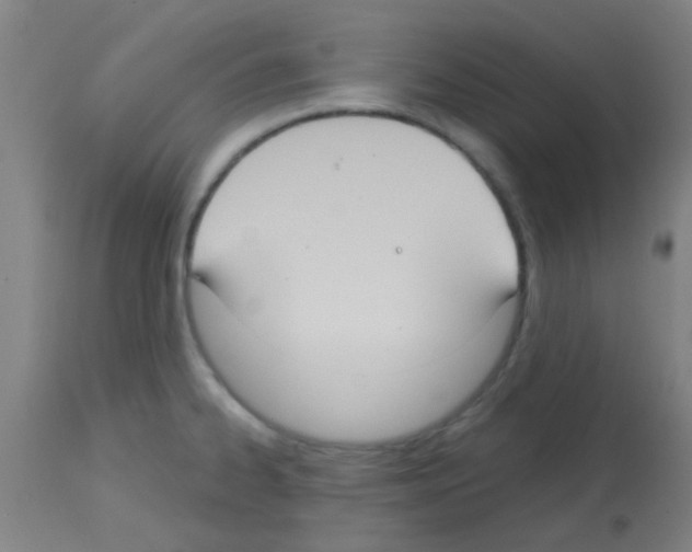 X0000113181334200910161322