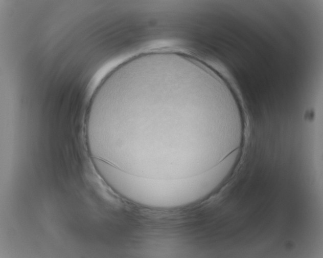 X0000113181336200910161322