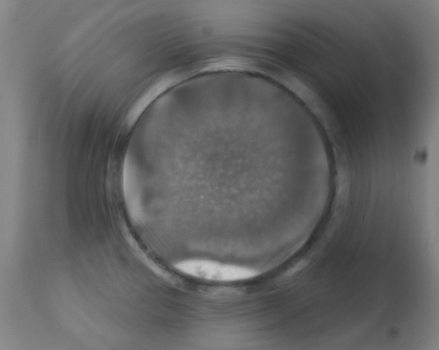 X0000113181337200910161322