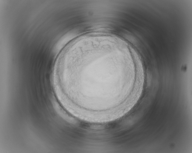 X0000113181338200910161322