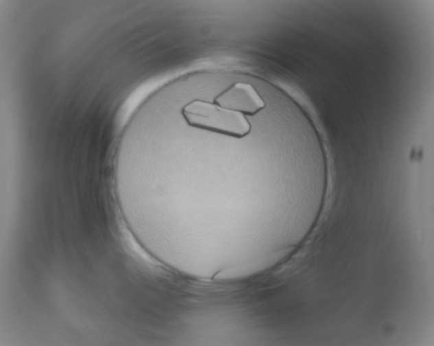 X0000113181344200910161322
