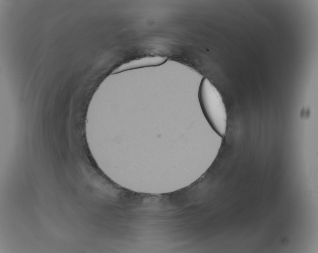 X0000113181345200910161322