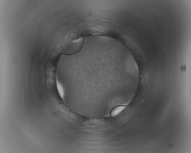 X0000113181346200910161322