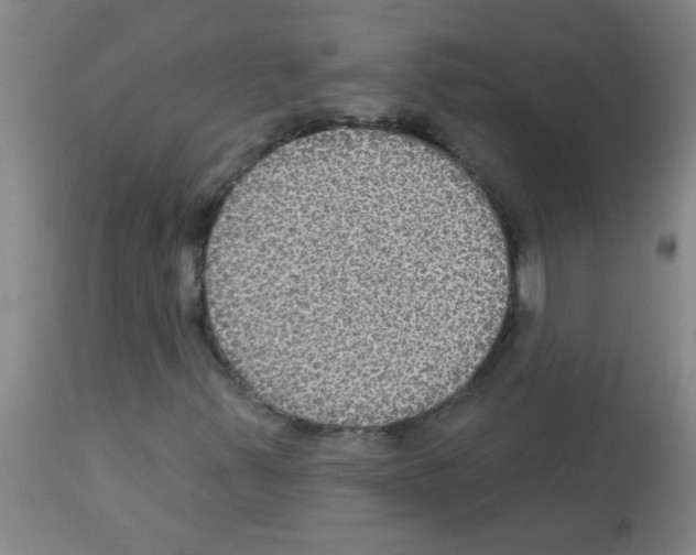 X0000113181347200910161322