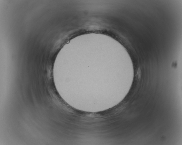 X0000113181348200910161322