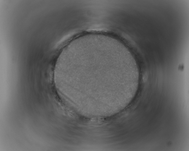 X0000113181350200910161322
