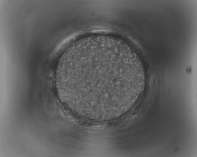 X0000113181351200910161322