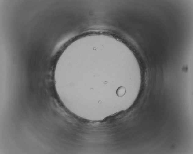 X0000113181352200910161322