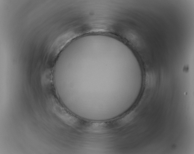 X0000113181353200910161322