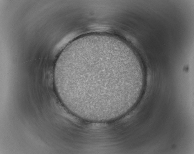 X0000113181354200910161322