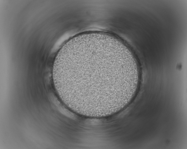 X0000113181355200910161322