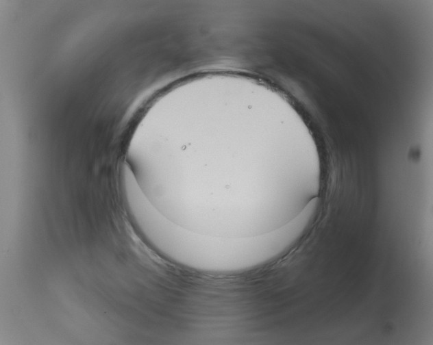 X0000113181356200910161322