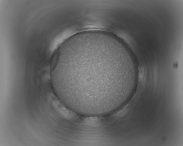 X0000113181357200910161322