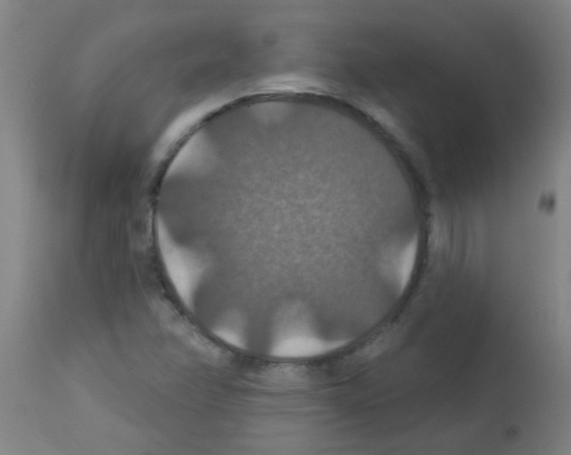 X0000113181358200910161322