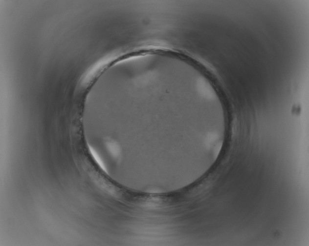 X0000113181359200910161322