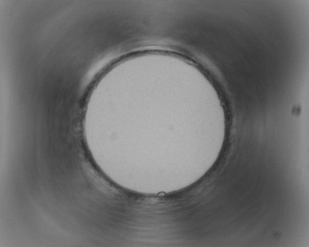 X0000113181360200910161322