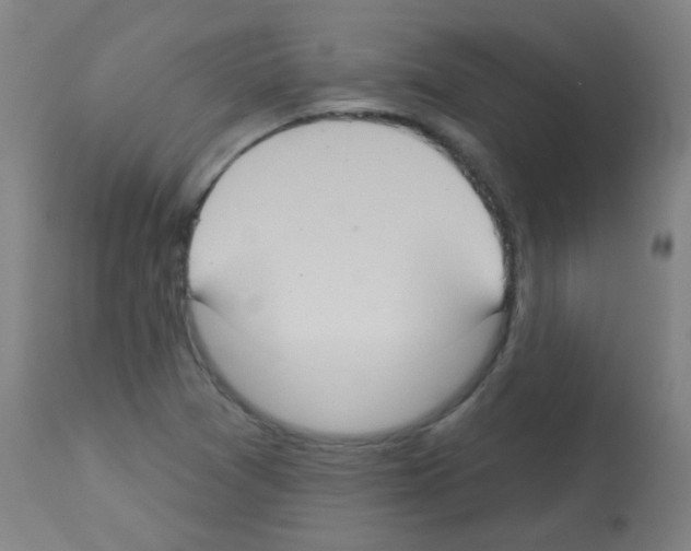X0000113181361200910161322