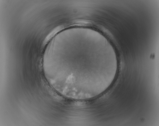 X0000113181362200910161322