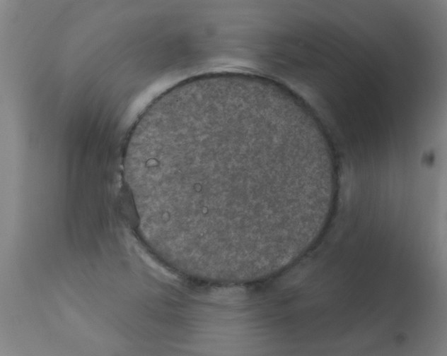 X0000113181363200910161321