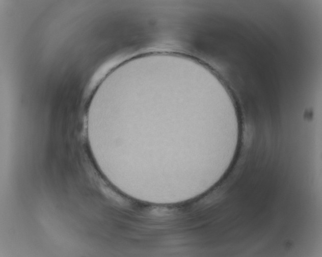 X0000113181366200910161321