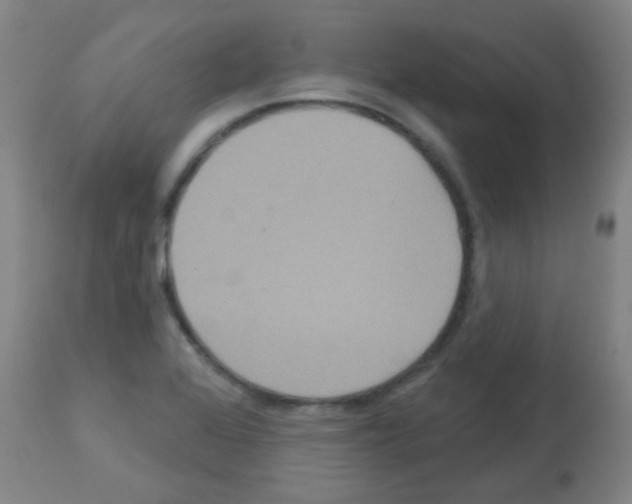X0000113181368200910161321