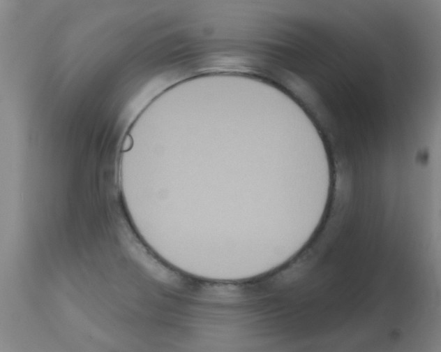 X0000113181370200910161321