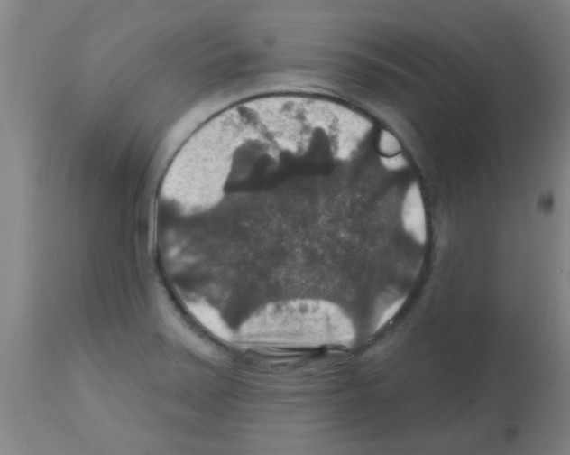 X0000113181371200910161321