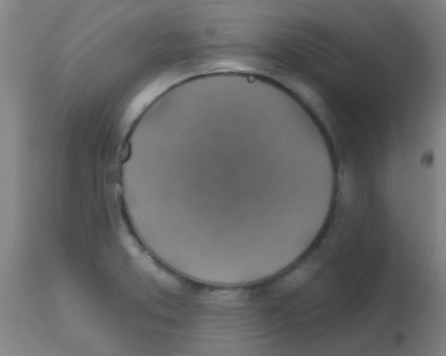 X0000113181373200910161321