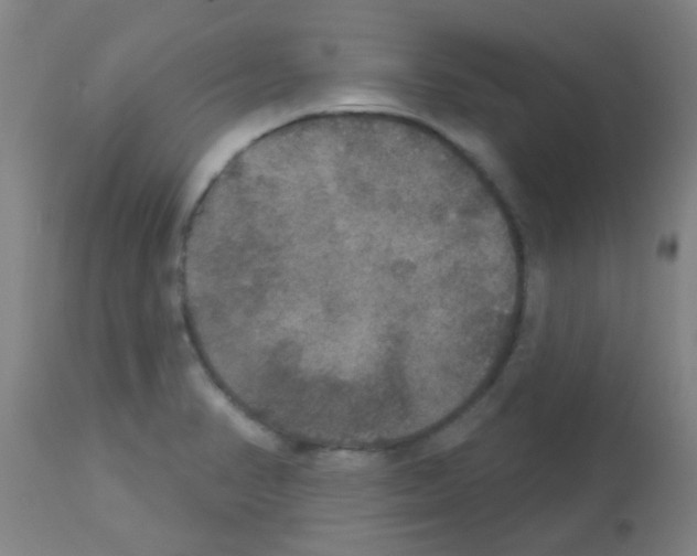X0000113181374200910161321