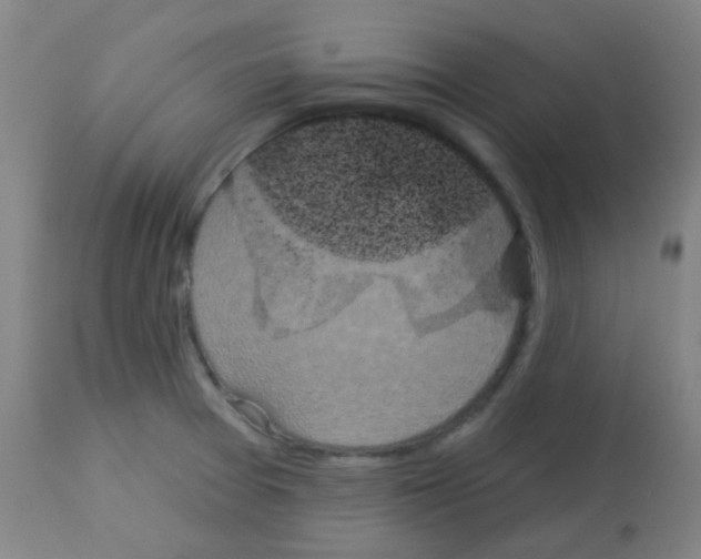 X0000113181377200910161321