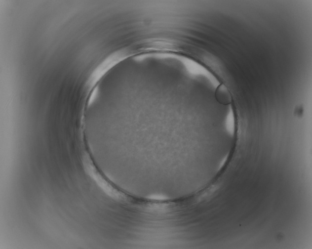 X0000113181378200910161321