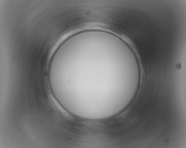 X0000113181384200910161321